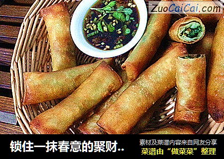 锁住一抹春意的聚财春卷