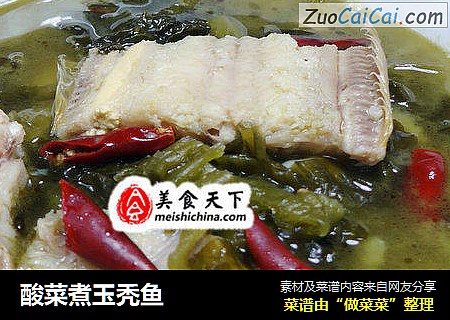 酸菜煮玉秃鱼