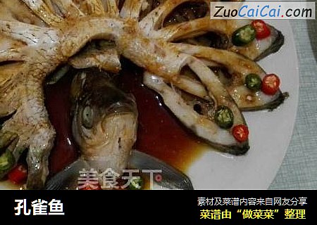 孔雀鱼