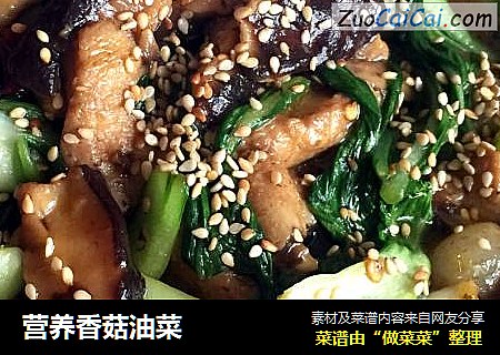 营养香菇油菜