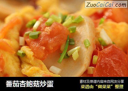 番茄杏鲍菇炒蛋