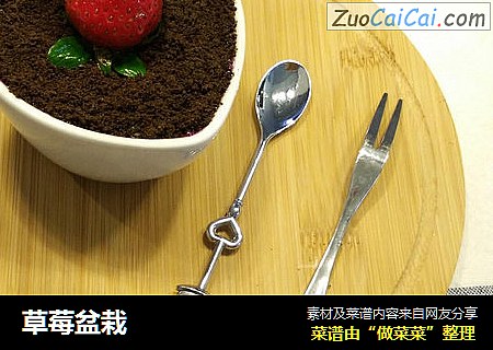 草莓盆栽