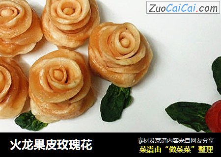 火龙果皮玫瑰花