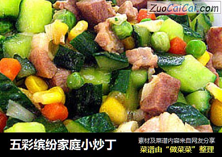 五彩缤纷家庭小炒丁
