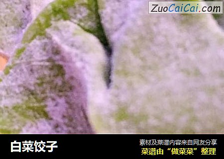 白菜饺子