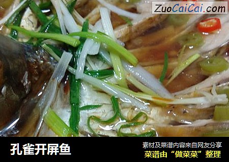 孔雀开屏鱼