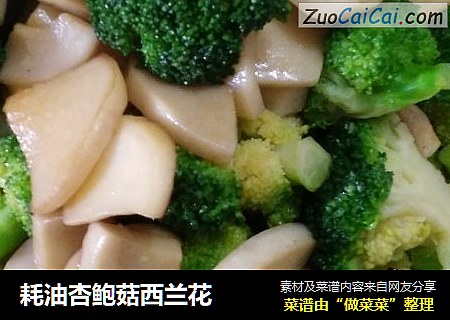 耗油杏鲍菇西兰花