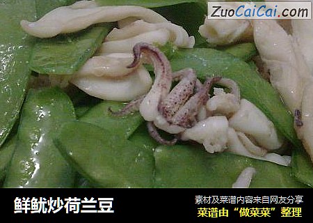 鲜鱿炒荷兰豆