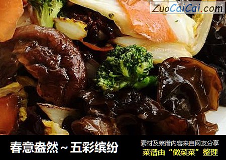 春意盎然～五彩缤纷