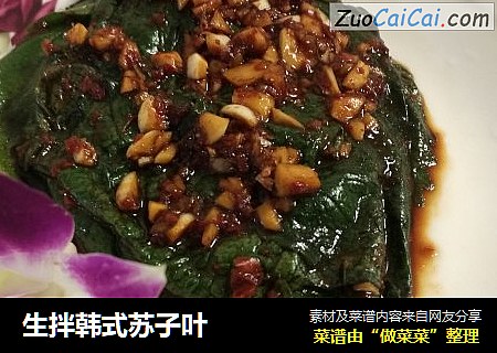 生拌韩式苏子叶