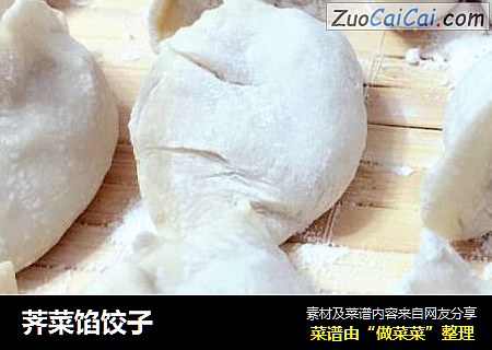 荠菜馅饺子