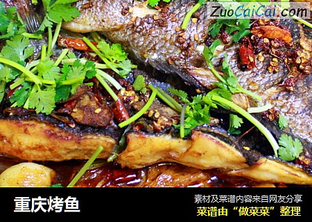 重庆烤鱼
