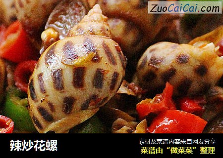 辣炒花螺