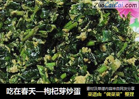 吃在春天—枸杞芽炒蛋