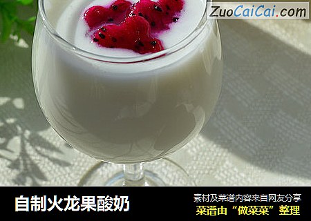 自制火龙果酸奶