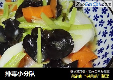 排毒小分队