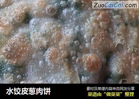 水饺皮葱肉饼