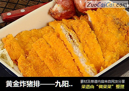 黄金炸猪排——九阳知食