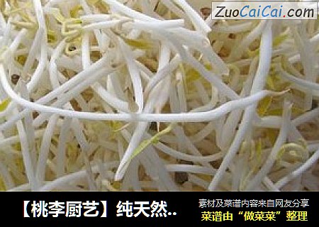 【桃李厨艺】纯天然自制绿豆芽，怎么吃都可以。