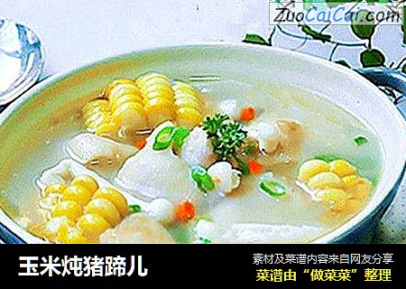 玉米炖猪蹄儿