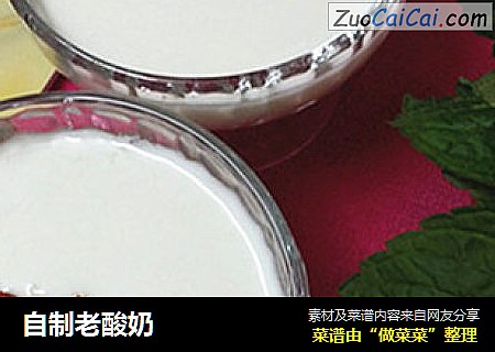 自制老酸奶