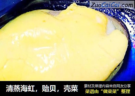 清蒸海虹，贻贝，壳菜