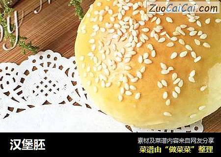 汉堡胚