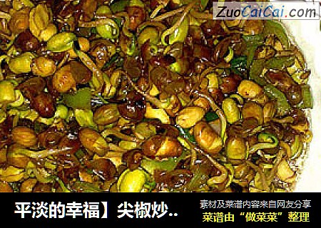 平淡的幸福】尖椒炒豆嘴