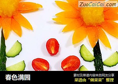春色满园