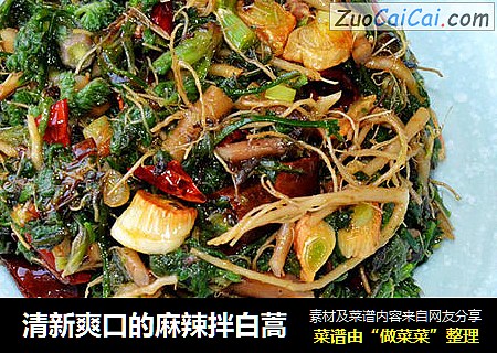 清新爽口的麻辣拌白蒿