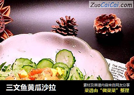 三文鱼黄瓜沙拉