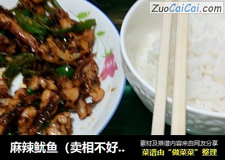 麻辣鱿鱼（卖相不好，味道好）