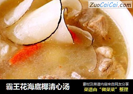 霸王花海底椰清心汤