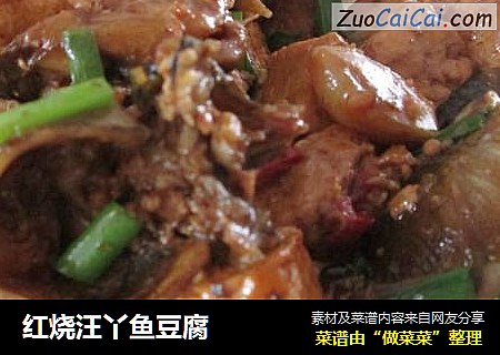 红烧汪丫鱼豆腐