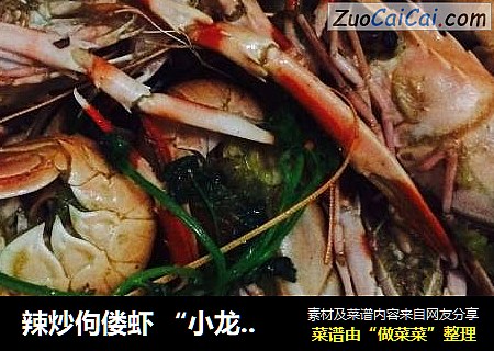 辣炒佝偻虾 “小龙虾”