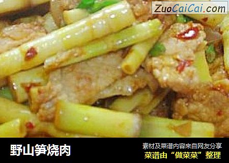 野山笋烧肉