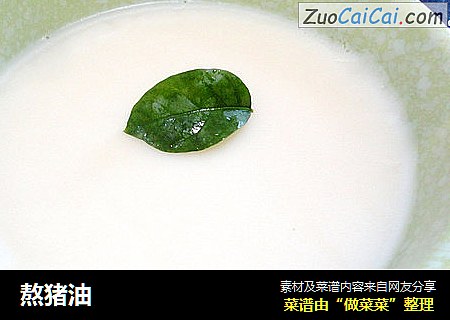 熬猪油