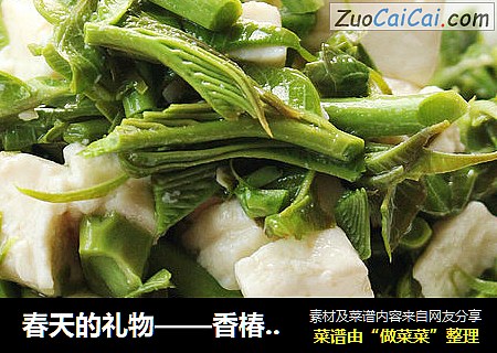 春天的礼物——香椿拌豆腐