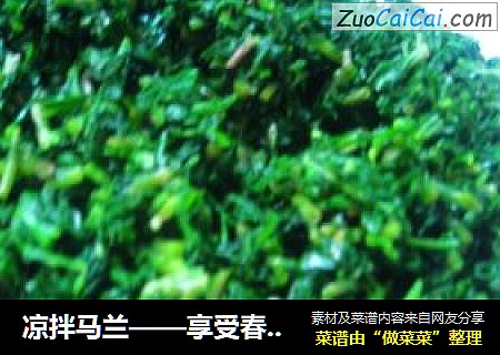 凉拌马兰——享受春天的美味