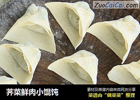 荠菜鲜肉小馄饨