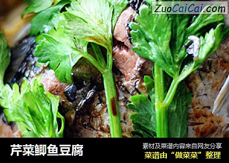 芹菜鲫鱼豆腐