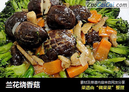 兰花烧香菇