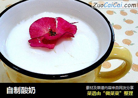 自制酸奶