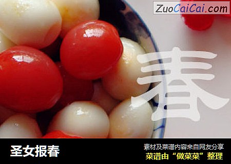 圣女报春