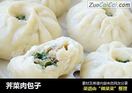 荠菜肉包子