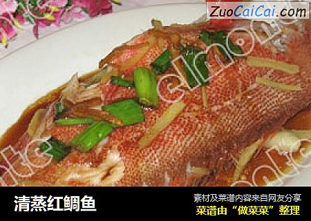 清蒸红鲷鱼