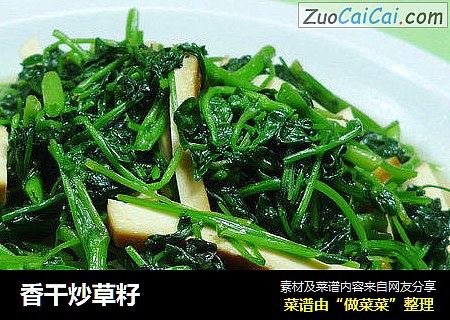 香干炒草籽
