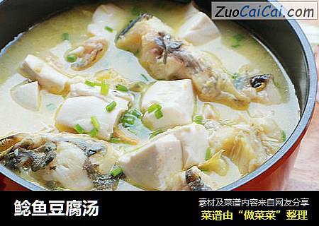 鲶鱼豆腐汤