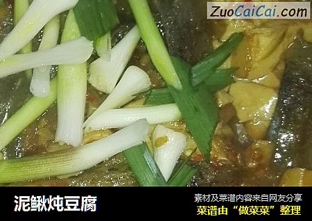 泥鳅炖豆腐