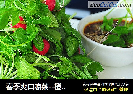 春季爽口凉菜--橙汁萝卜苗